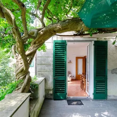 Il Glicine Di Vittoria Nel A Pochi Minuti Di Auto Dalle Spiagge Borgonovo